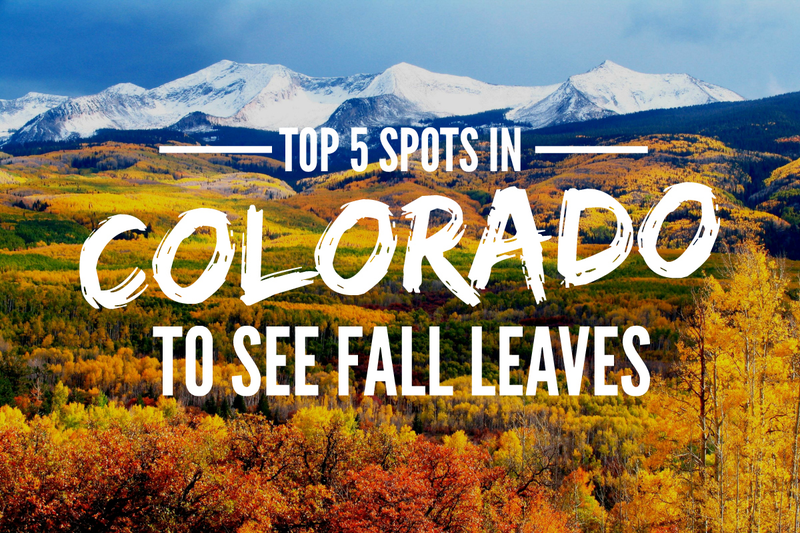 Illustration for article titled Top 5 Spots In Colorado To See The Fall Leaves This Year